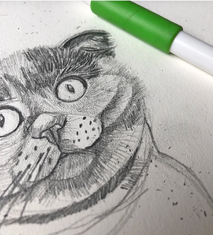 Como Desenhar Gatos e Felinos - Desenho Para Quem Não Sabe Desenhar